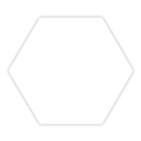 Étiquette hexagone 35x30mm | Vierge